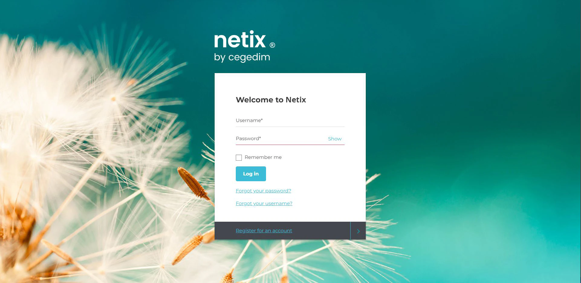 screenshot of Netix Flow